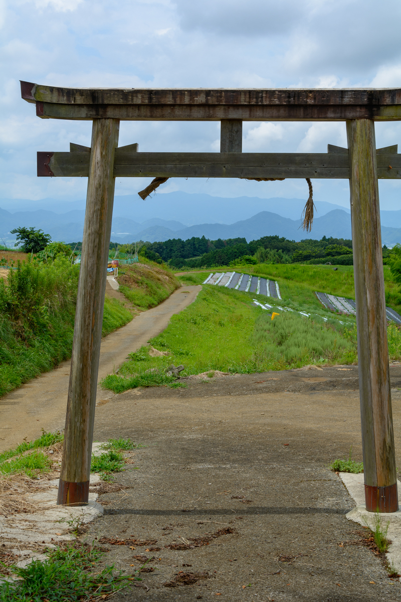 f:id:qshiro:20210730100539j:plain:w260