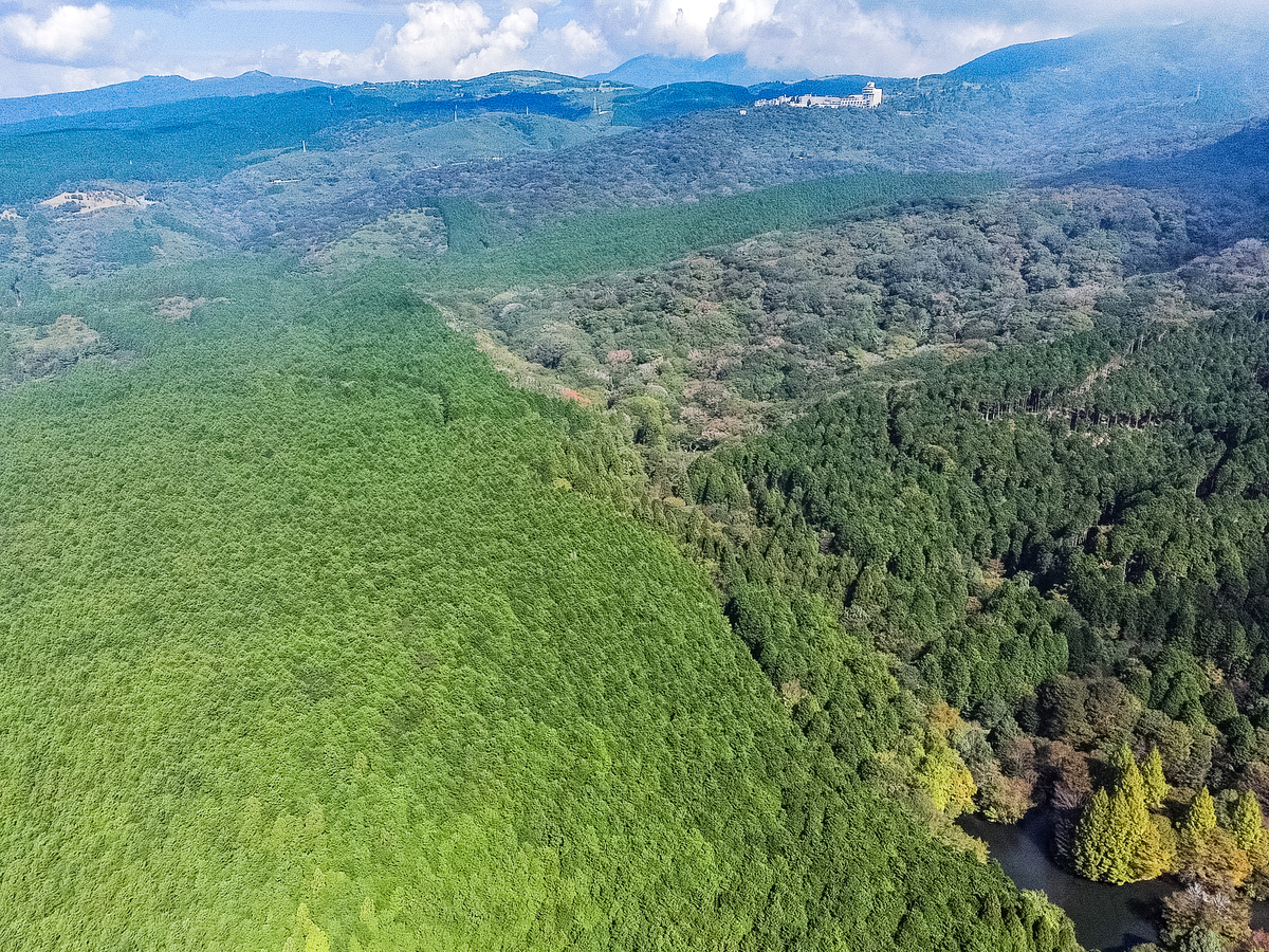 f:id:qshiro:20211009103230j:plain