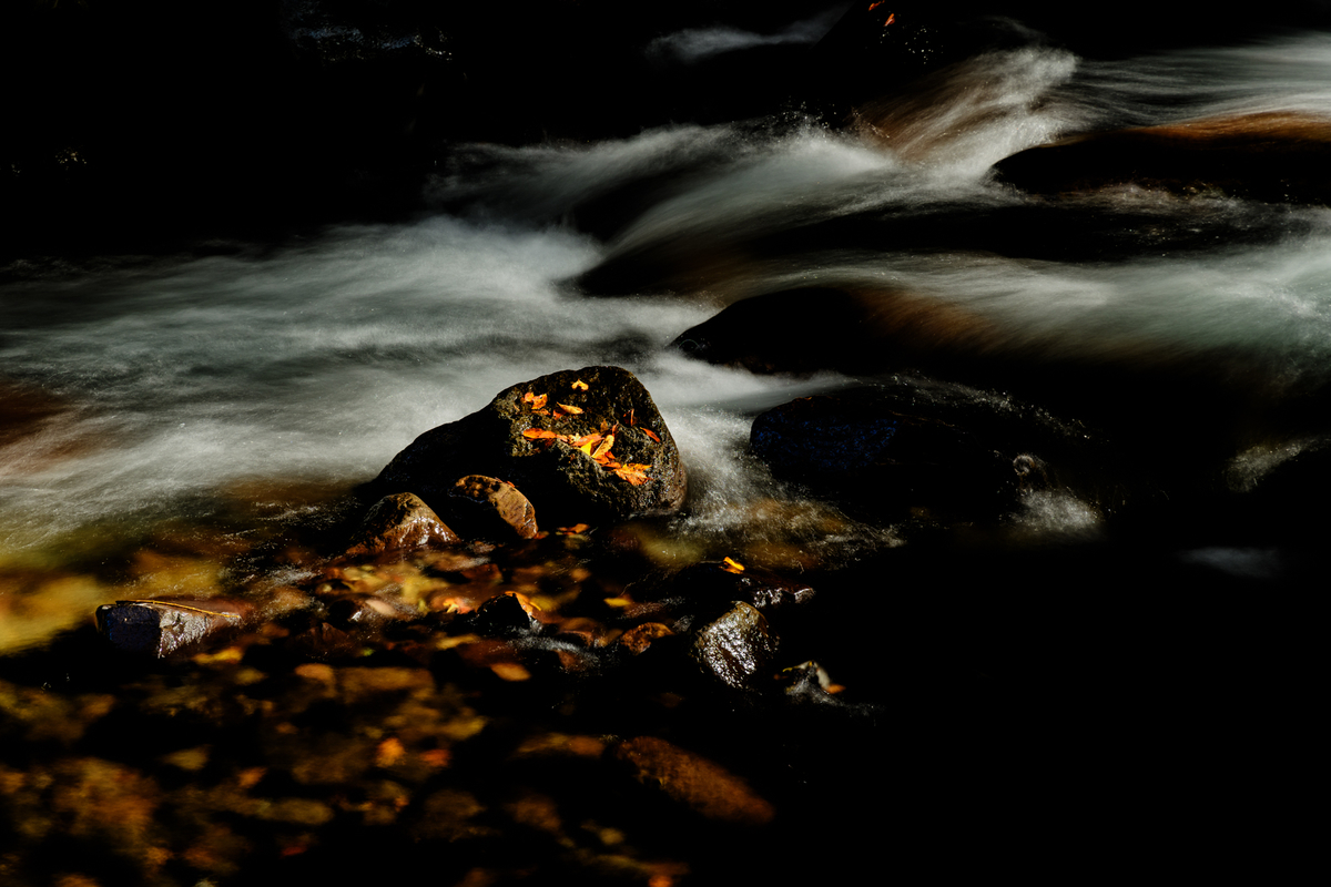 f:id:qshiro:20211120094736j:plain