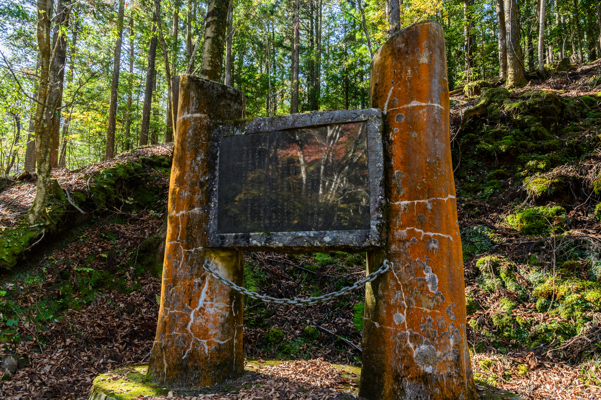 f:id:qshiro:20211120103128j:plain