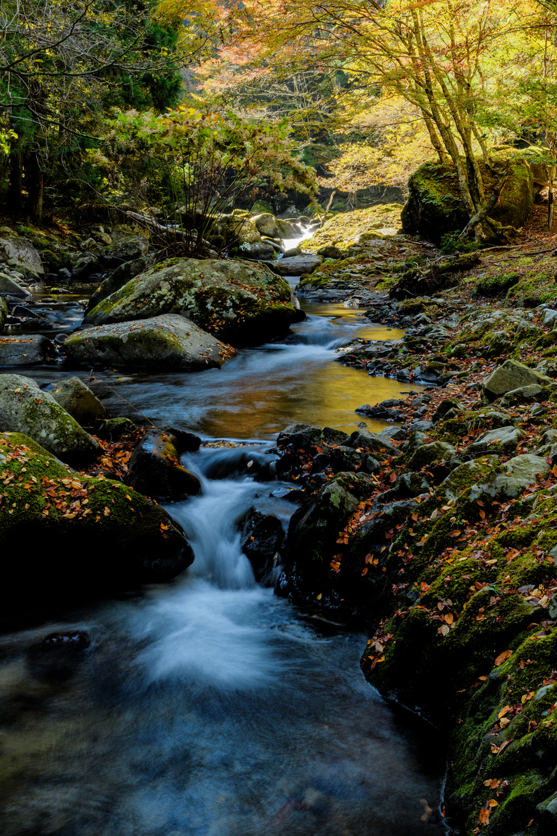 f:id:qshiro:20211120110906j:plain:w260