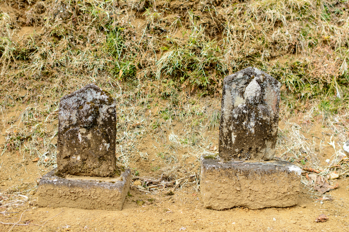 f:id:qshiro:20220208111245j:plain