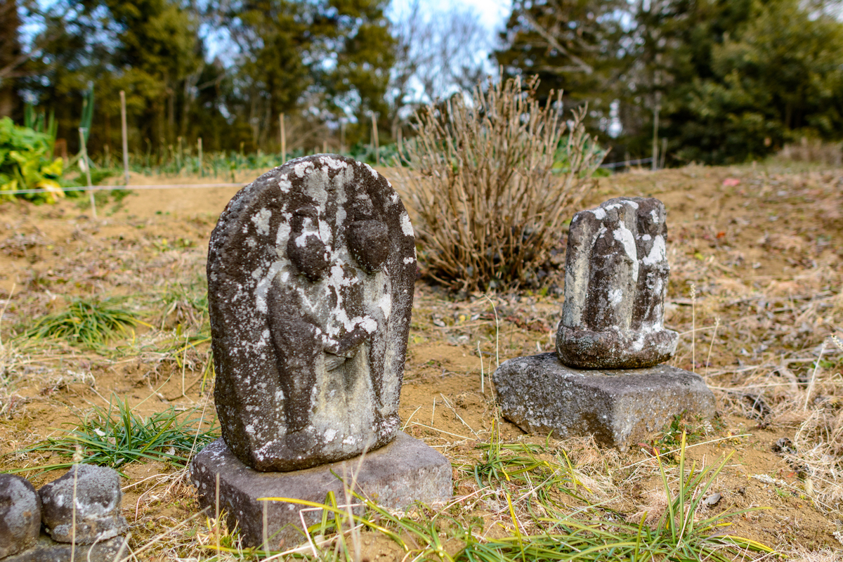 f:id:qshiro:20220208120354j:plain