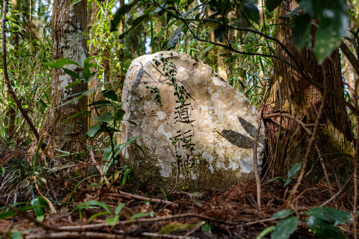 f:id:qshiro:20220208121346j:plain