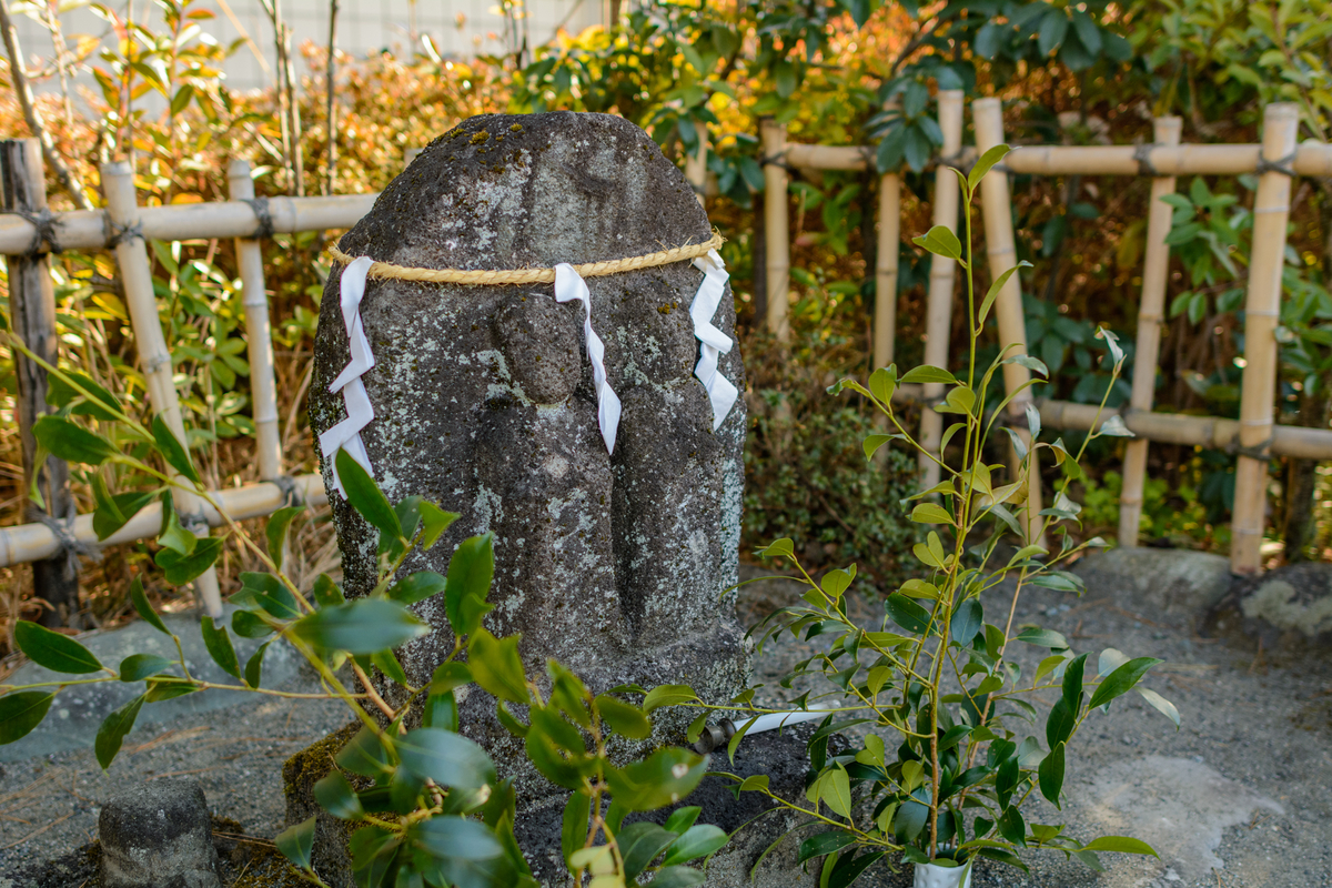 f:id:qshiro:20220208140550j:plain