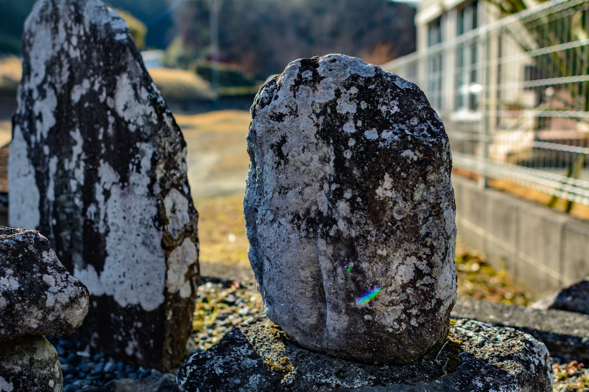 f:id:qshiro:20220208144236j:plain