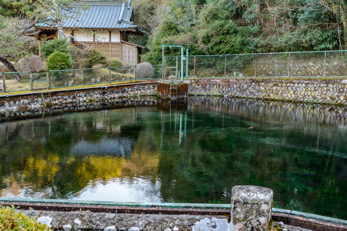 f:id:qshiro:20220208145726j:plain