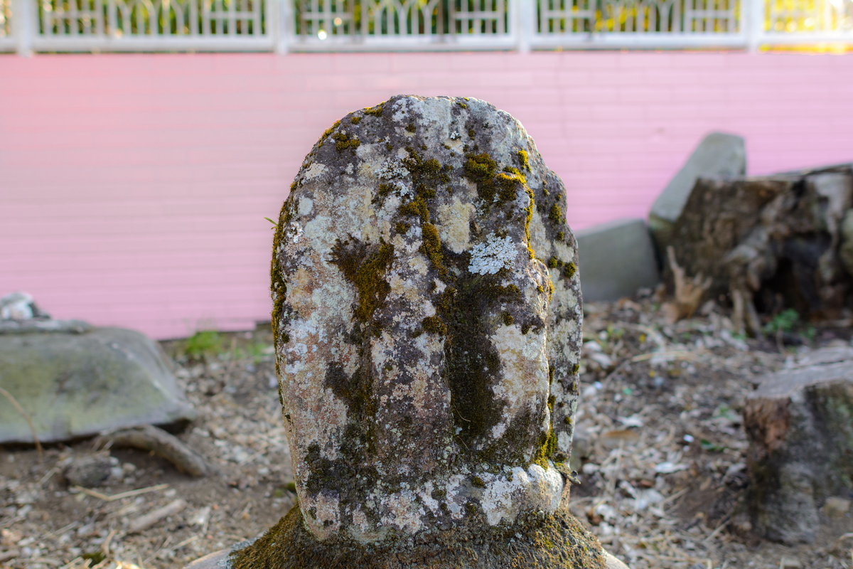 f:id:qshiro:20220208151600j:plain