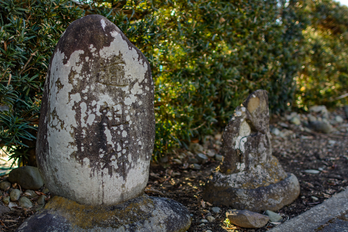 f:id:qshiro:20220225151651j:plain