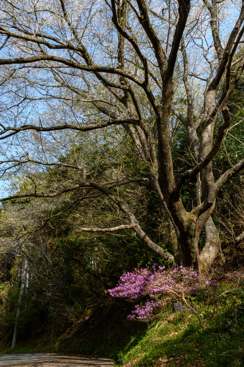 f:id:qshiro:20220325093037j:plain