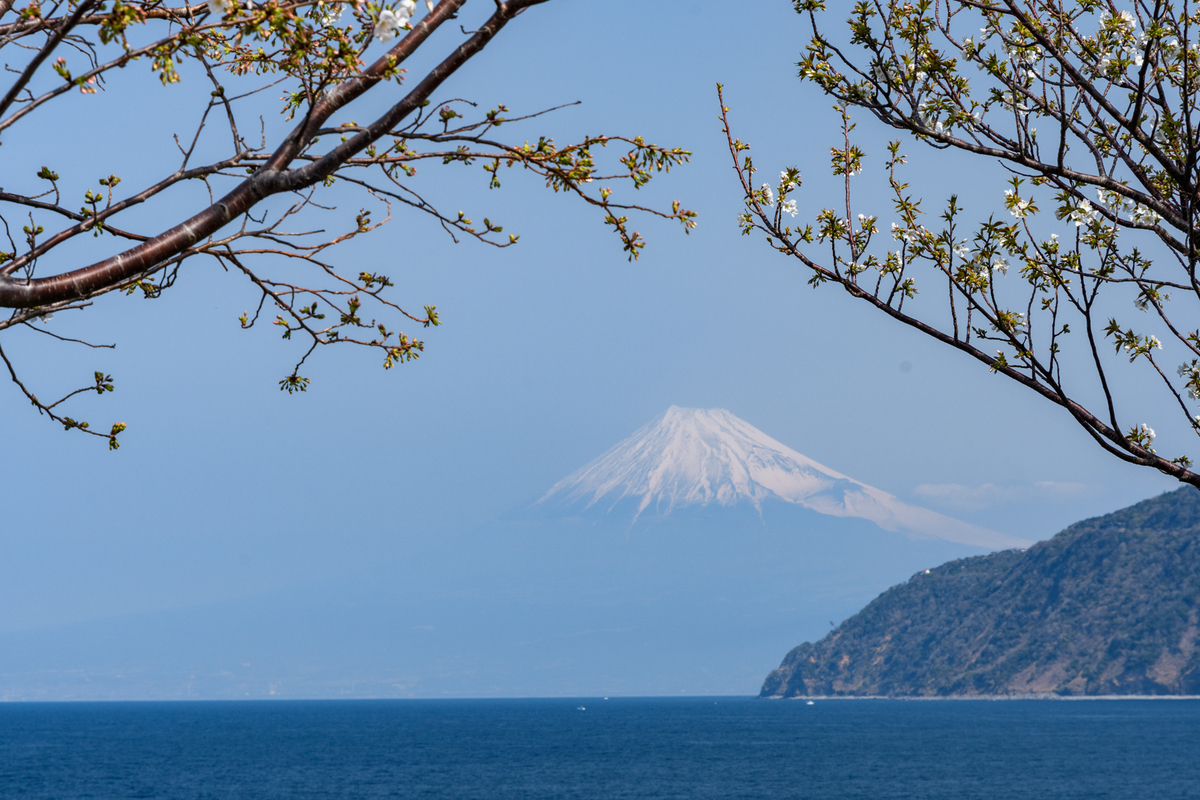 f:id:qshiro:20220325095819j:plain