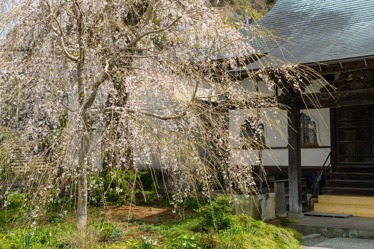 f:id:qshiro:20220325112629j:plain