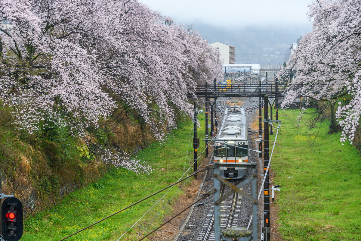 f:id:qshiro:20220401073413j:plain