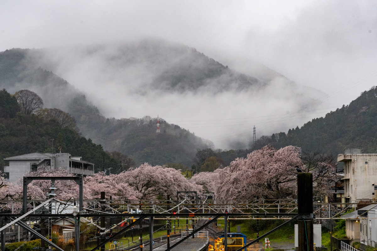 f:id:qshiro:20220401075749j:plain