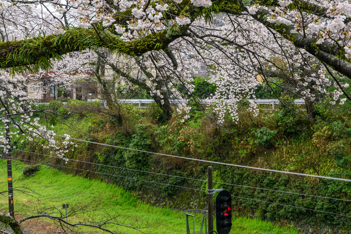 f:id:qshiro:20220401082806j:plain