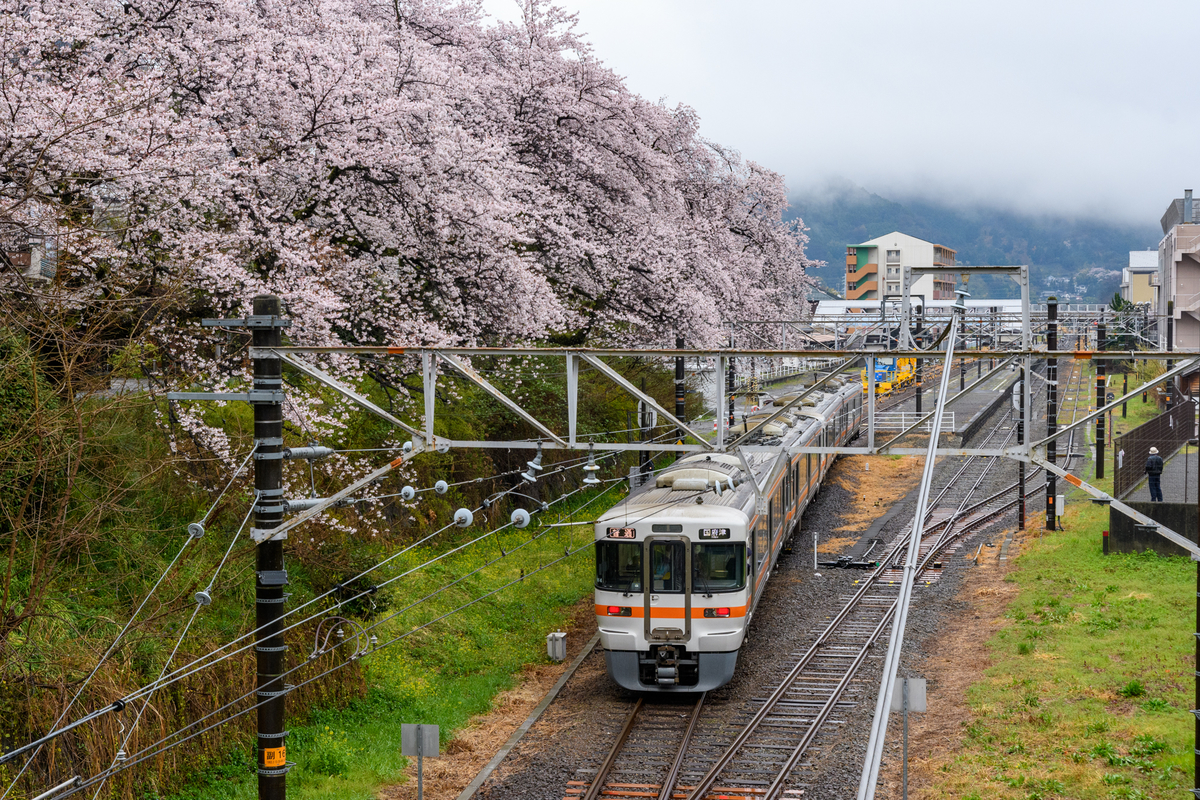 f:id:qshiro:20220401085406j:plain