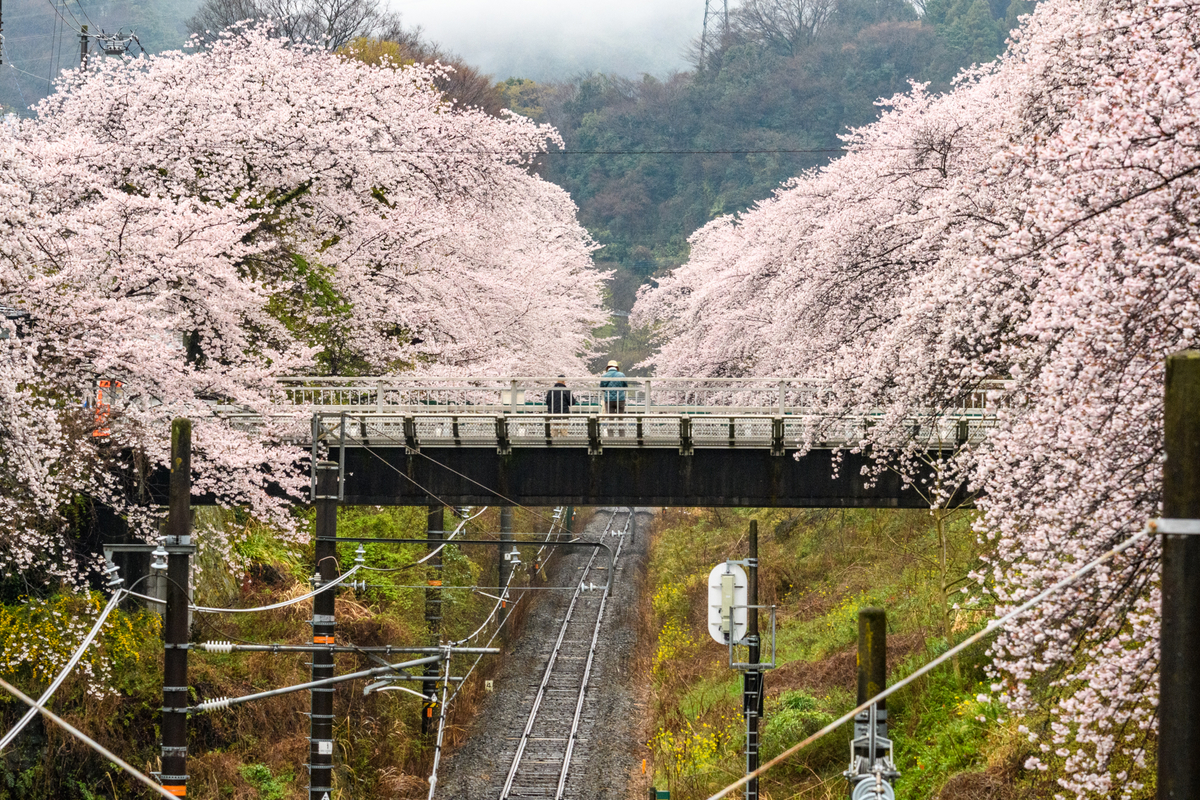 f:id:qshiro:20220401090220j:plain