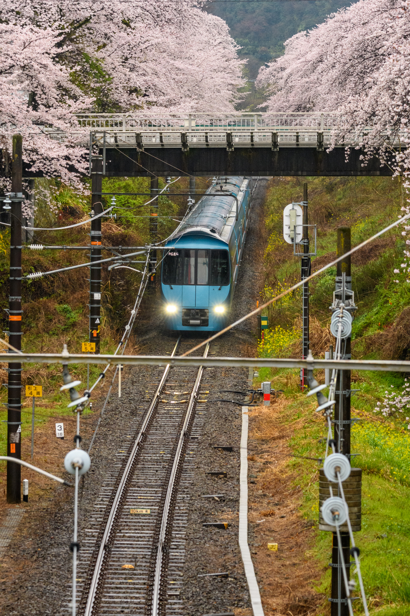 f:id:qshiro:20220401090731j:plain