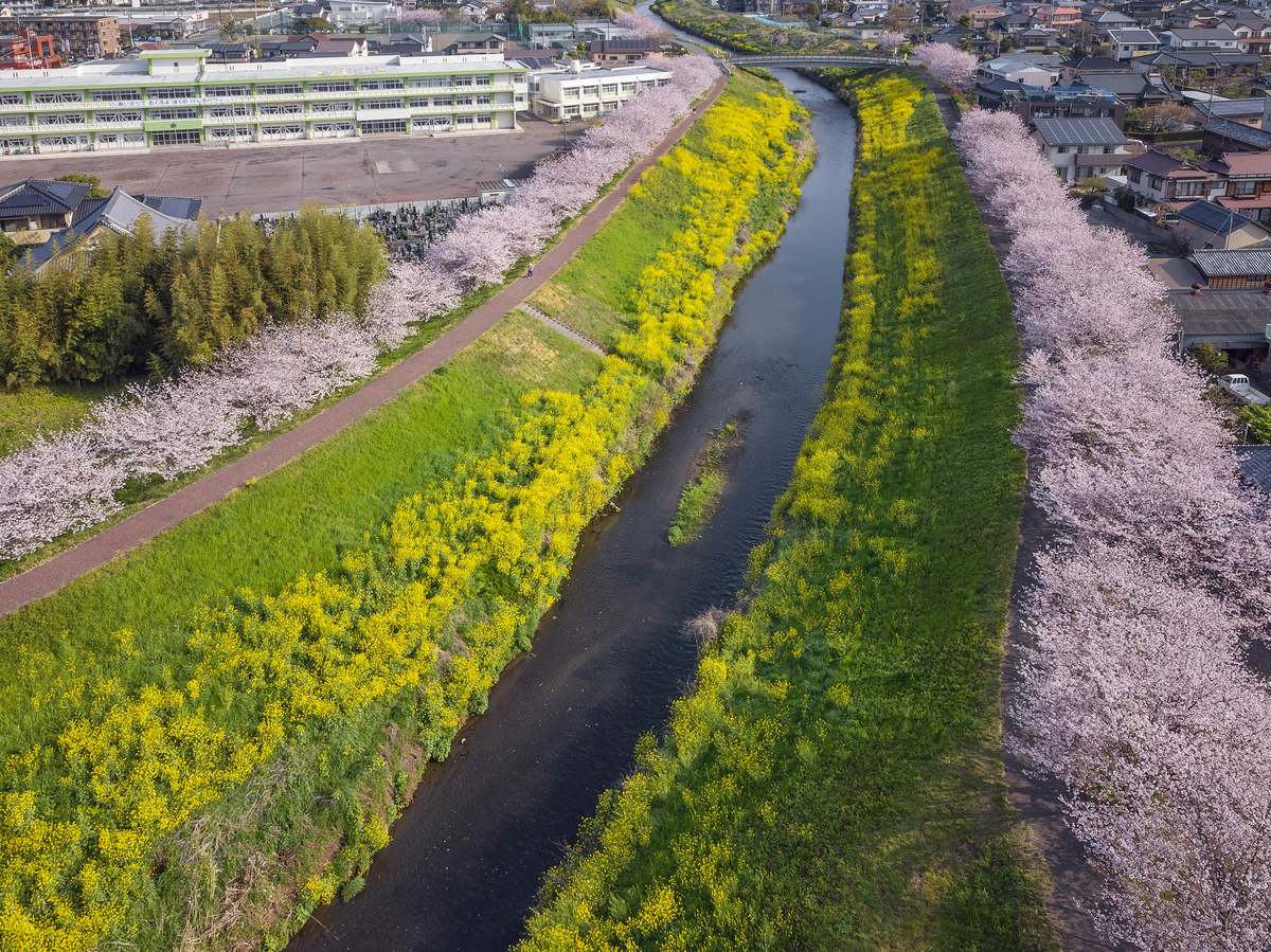 f:id:qshiro:20220407075313j:plain