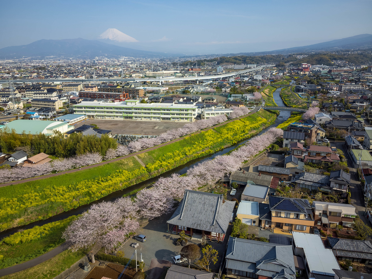 f:id:qshiro:20220407075452j:plain