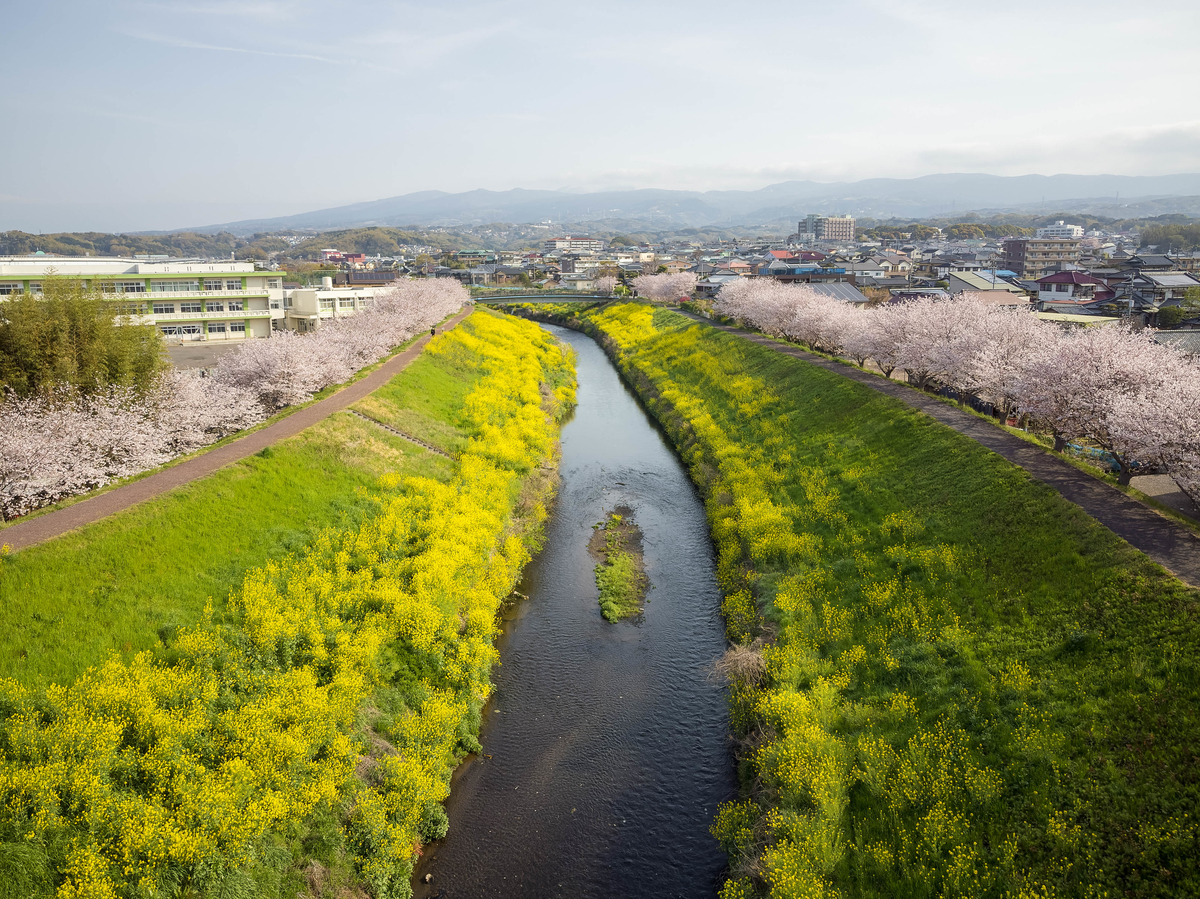 f:id:qshiro:20220407075700j:plain