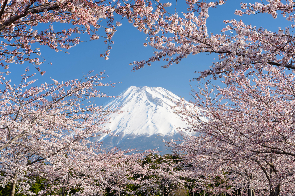 f:id:qshiro:20220409071002j:plain