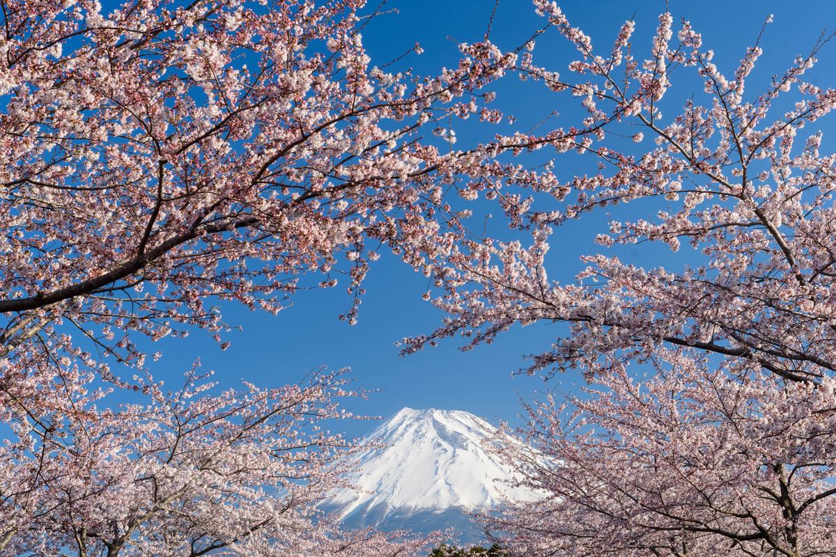 f:id:qshiro:20220409071316j:plain