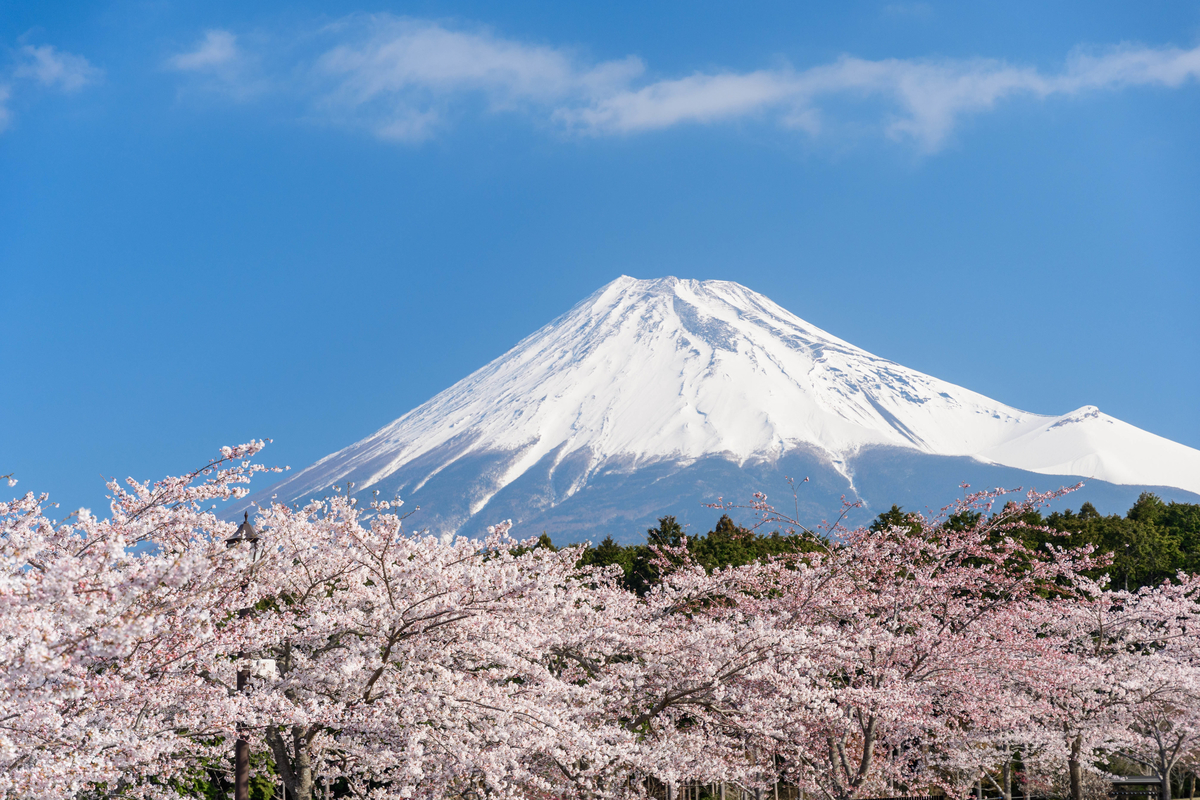 f:id:qshiro:20220409075234j:plain