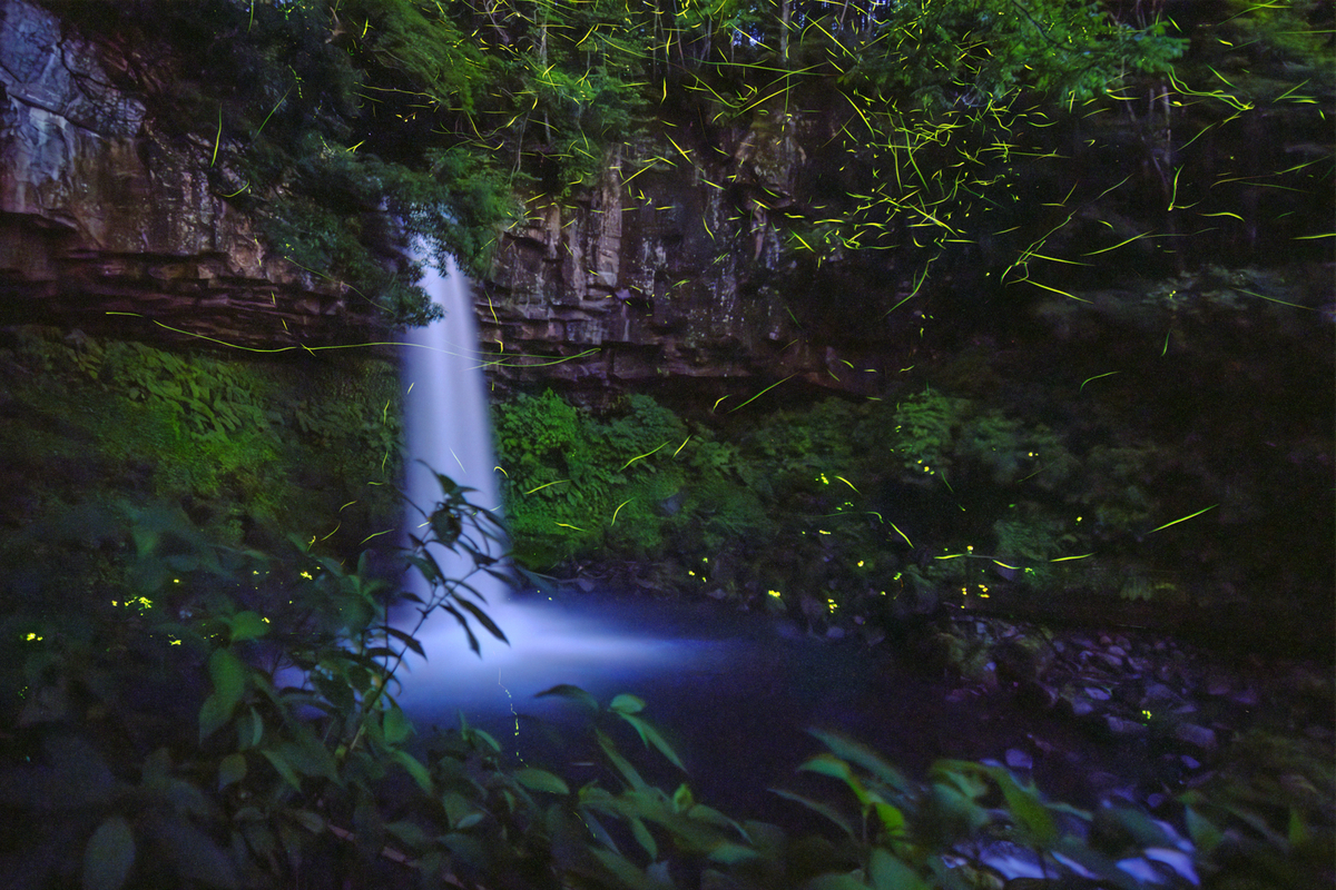 萬城の滝 ホタル-その2(3?) - 牛歩的写真中心網録”