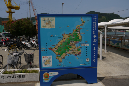 P1100163.jpg