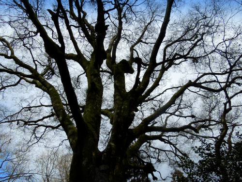 DSCN2911s.jpg