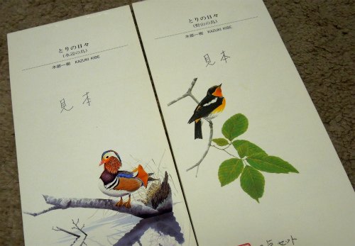DSCN4697s.jpg