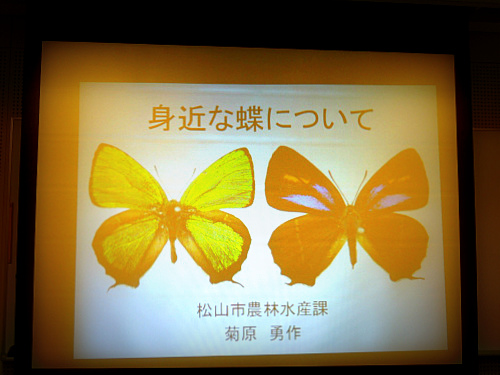 DSCN4780s.jpg