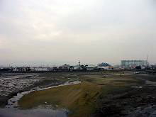 IMG_3324s2.jpg