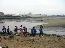 IMG_3326s1.jpg