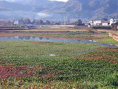 IMG_3355s1.jpg