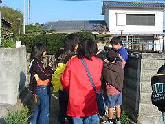 IMG_3367s1.jpg