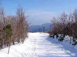 P10302490-s1.jpg