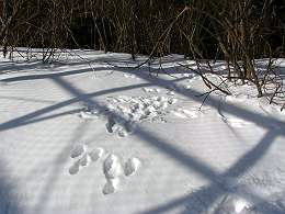 P10304299-s1.jpg