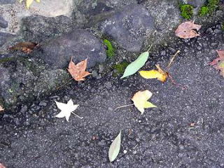 P1080347-s1.jpg