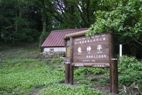 P1090168.jpg