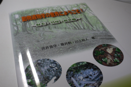 P1110578.jpg