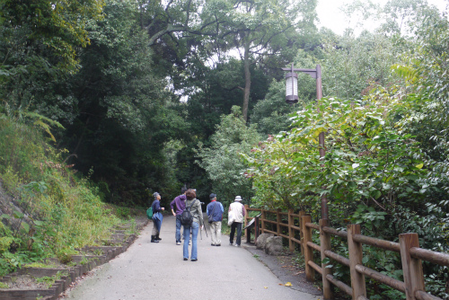 P1110925.jpg