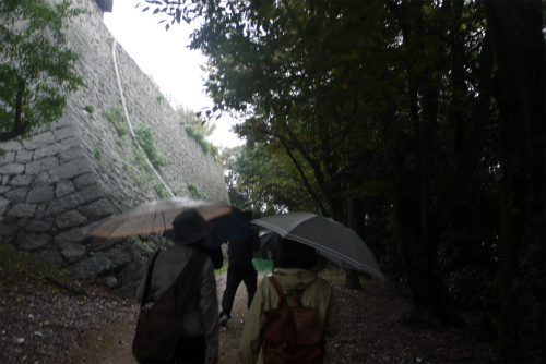 P1110928.jpg