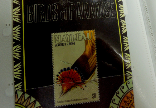 DSCN5555a.jpg