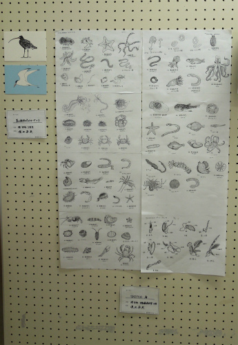 DSCN6439s.jpg