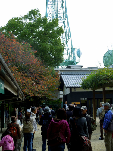 DSCN8373s.jpg
