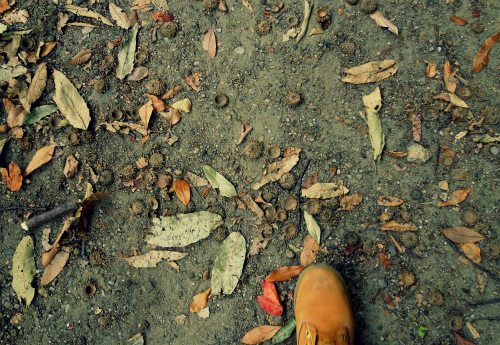 DSCN8428s.jpg