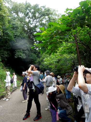 DSCN8510s_20130707231631.jpg