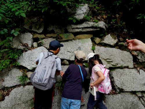 DSCN8541s.jpg